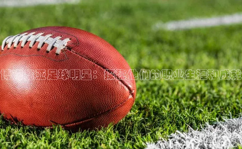 杏盛平台代理百度百聘博南塞亚足球明星：探秘他们的职业生涯和成就