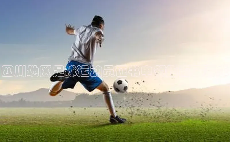 杏盛注册流程和入口宇信科技四川地区足球运动员证书申领指南及要求