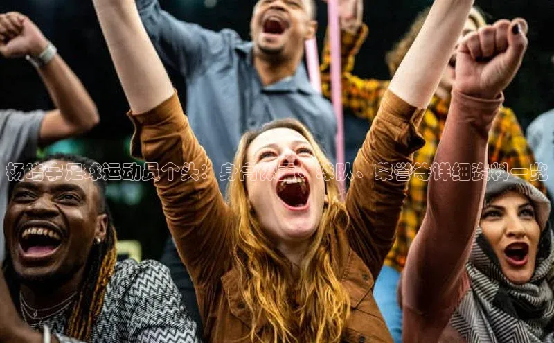 杏盛招商百度翻译App杨皓宇足球运动员个头：身高体重、球队、荣誉等详细资料一览