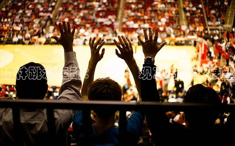 杏盛注册流程和入口百度Apollo柏林跳水运动：历史、现况与未来展望