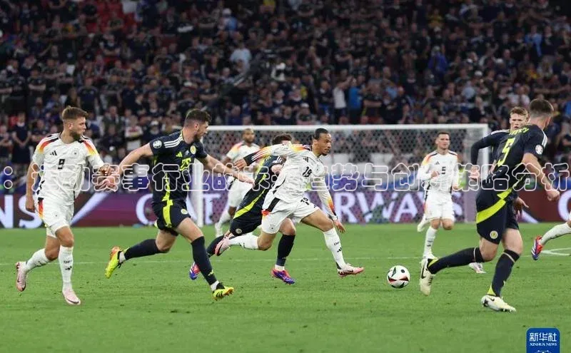 杏盛app官方下载最新版本更新内容挪威主权基金：运动赛事行业的未来趋势与创新策略分析