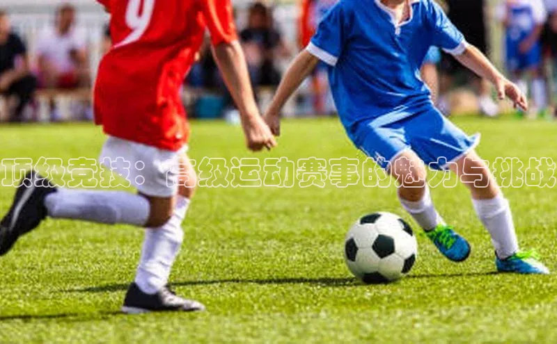 杏盛测速登录入口百度搜索资源平台顶级竞技：高级运动赛事的魅力与挑战