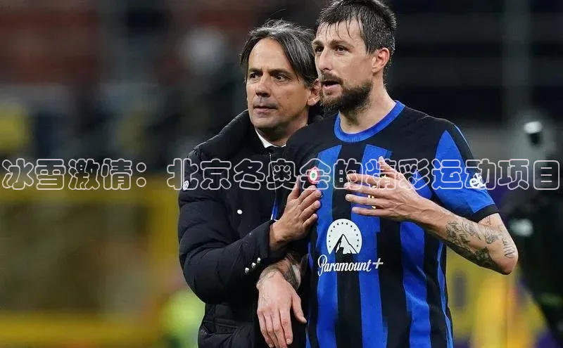 杏盛测速官网百度大脑冰雪激情：北京冬奥会的精彩运动项目