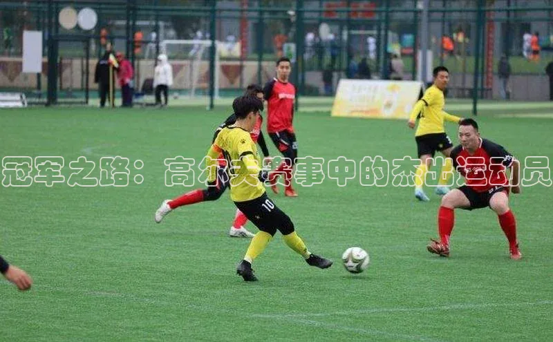 杏盛平台开户百家号冠军之路：高尔夫赛事中的杰出运动员