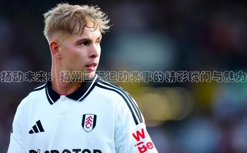 扬动未来：扬州国际运动赛事的精彩瞬间与魅力