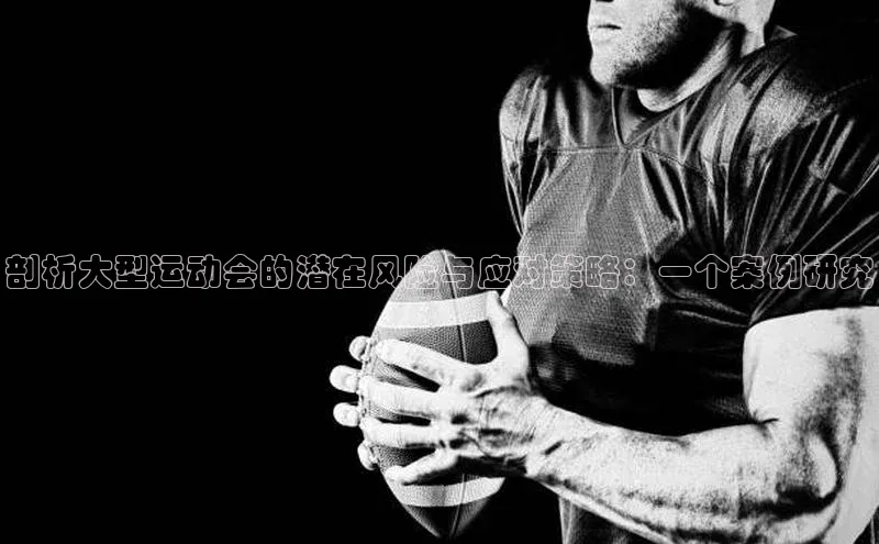 剖析大型运动会的潜在风险与应对策略：一个案例研究