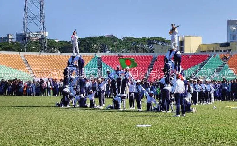 世界顶级体育赛事排行榜：影响力与竞争力的巅峰力量