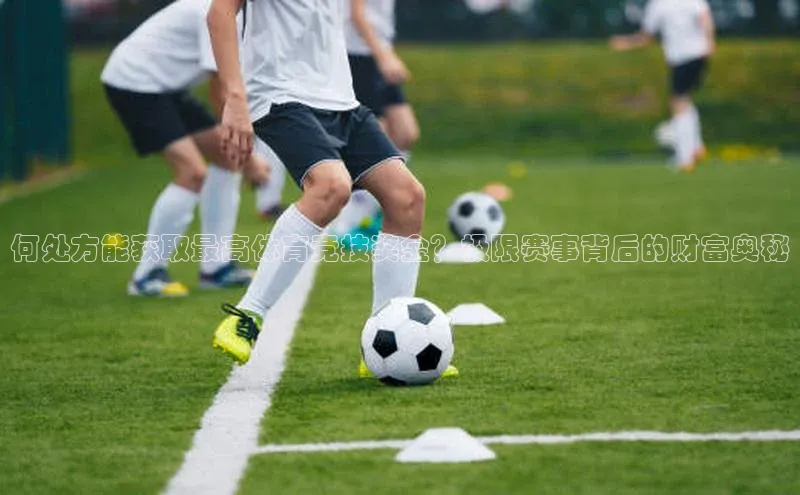 何处方能获取最高体育竞技奖金？极限赛事背后的财富奥秘