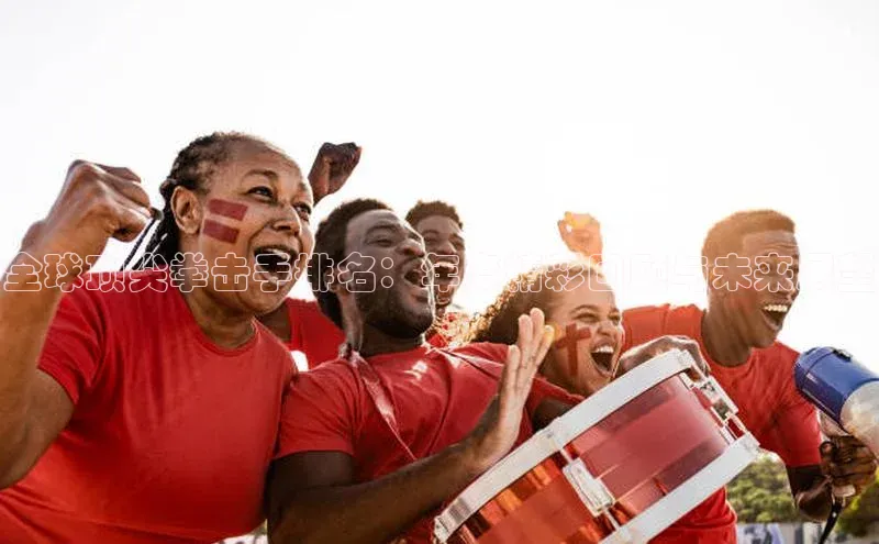 全球顶尖拳击手排名：年度精彩回顾与未来展望