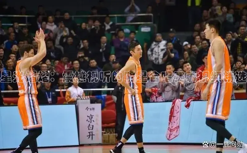 星光熠熠：震撼视听的明星合唱赛事视频精选