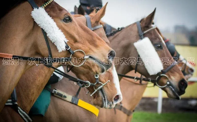 贵港：水上运动的魅力——赛事大赏与活动亮点一览
