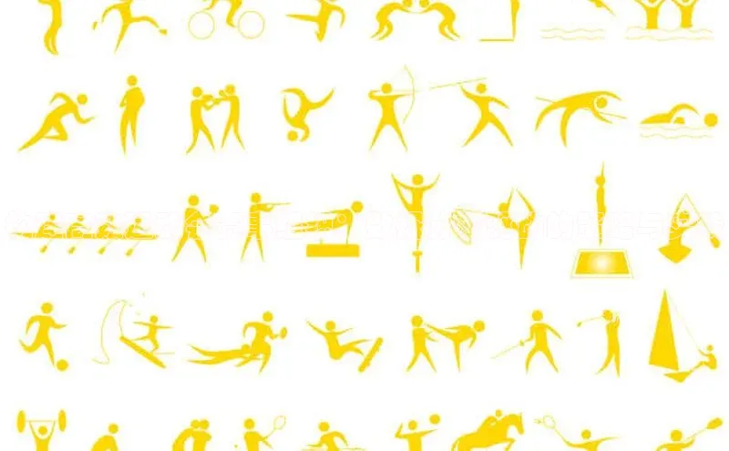 构建高效运动会赛事组织：数据分析驱动的策略与实践