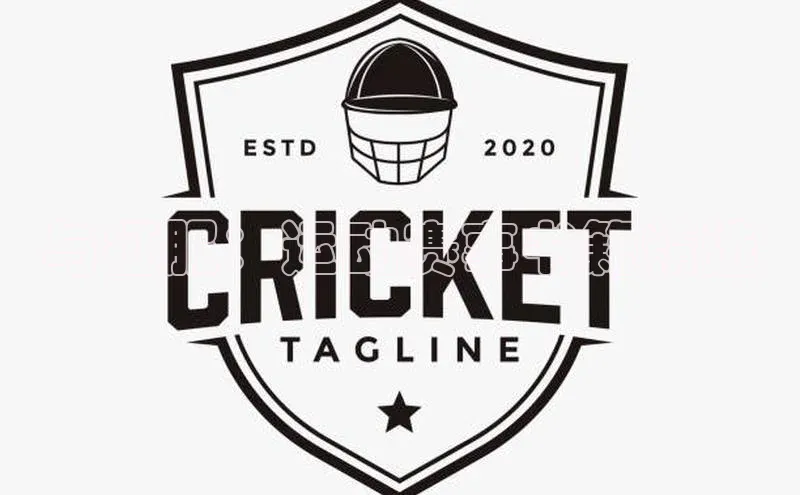 与征服：运动赛事书籍精选