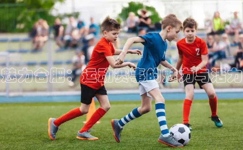 魅力合肥：运动赛事的魅力与活力