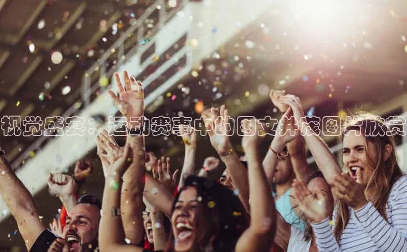 杏盛测速app官方下载最新版