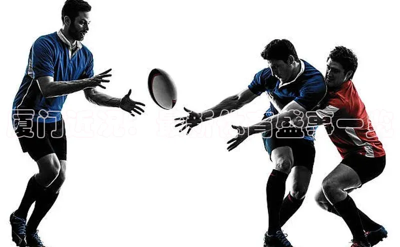 杏盛测速app官方下载最新版